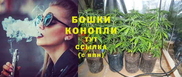 каннабис Богданович