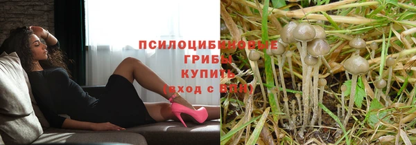 каннабис Богданович