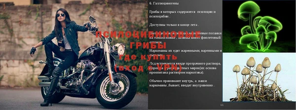 кристаллы Богородицк